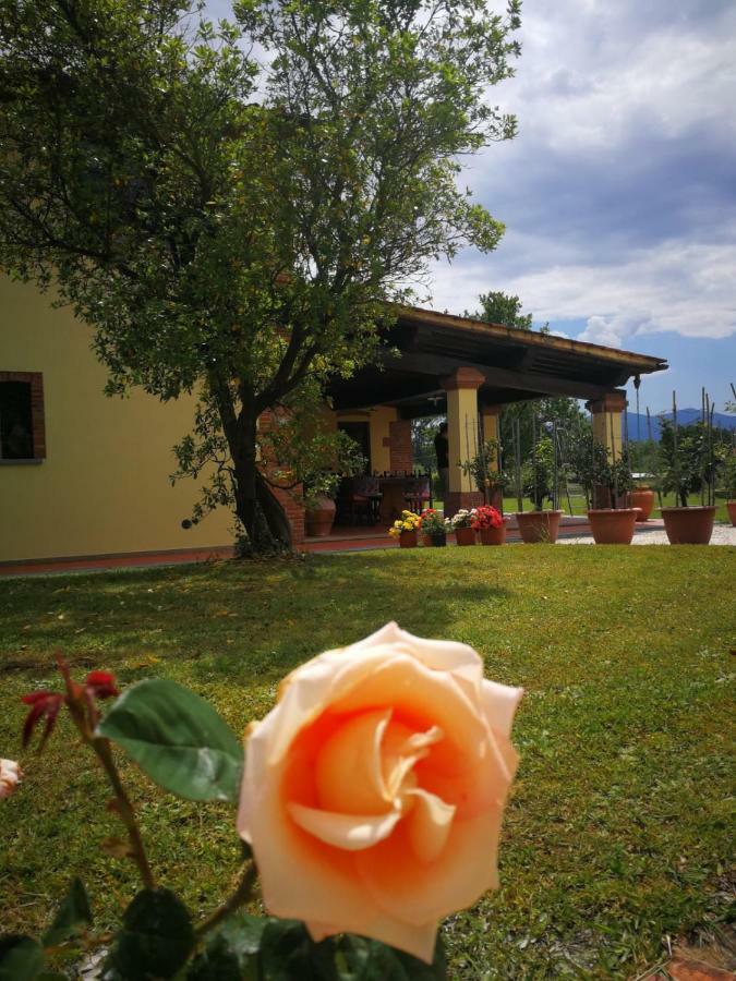 B&B La Fornace Del Sole Capannori Exterior foto